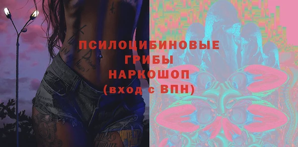 тгк Бородино