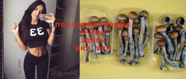 шишки Бугульма