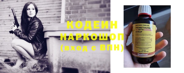 тгк Бородино