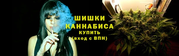 тгк Бородино