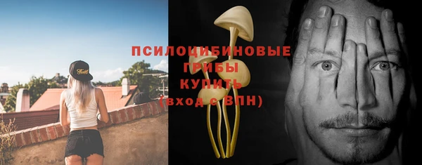 шишки Бугульма