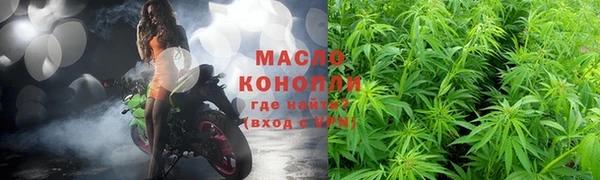 тгк Бородино