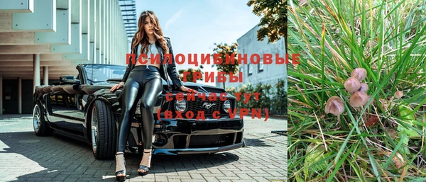 тгк Бородино